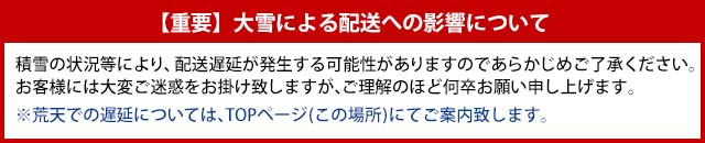 大雪の影響へのご対応