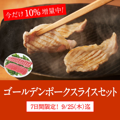 GPスライスセット