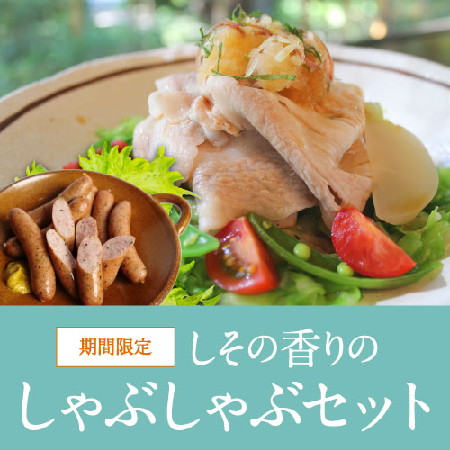 しその香りのしゃぶしゃぶセット