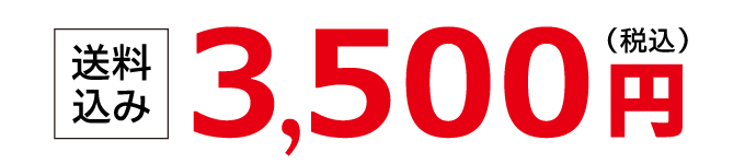 3,500円（税込）