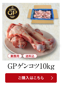 GPゲンコツ10kg