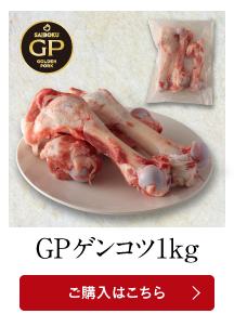 GPゲンコツ1kg