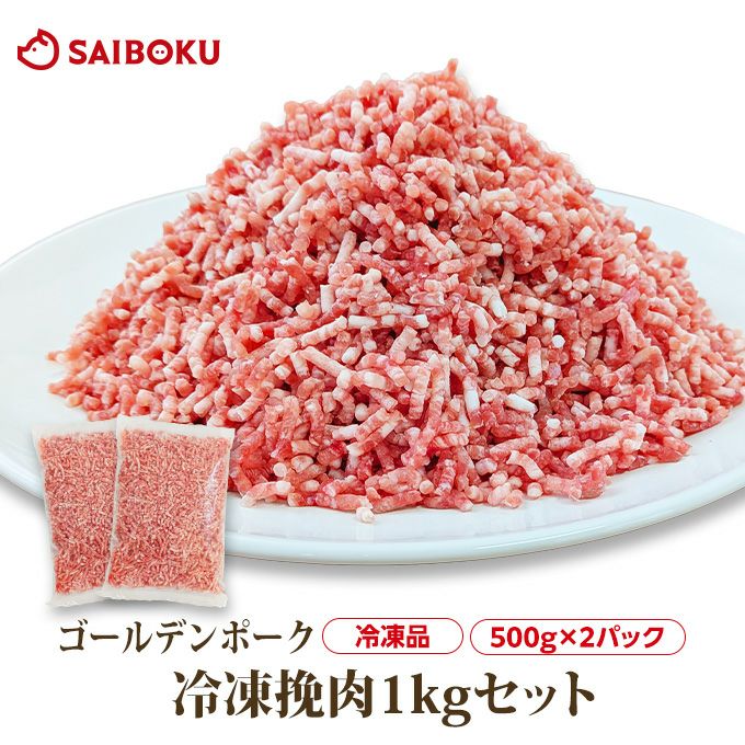 最終値下げ！【超貴重】ゴールデンボンバー やればできる子！5枚セット